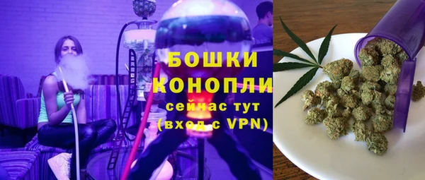 винт Аркадак
